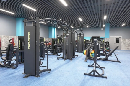 Кроссовер Hasttings Digger HD022-1 (HD024-1+HD024-1+HD023opt-1), фото 2