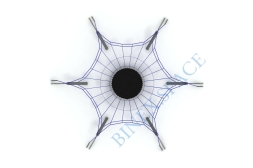 Шнюк, фото 3