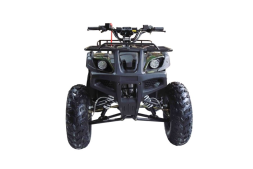 Квадроцикл WELS ATV Thunder 150, фото 2