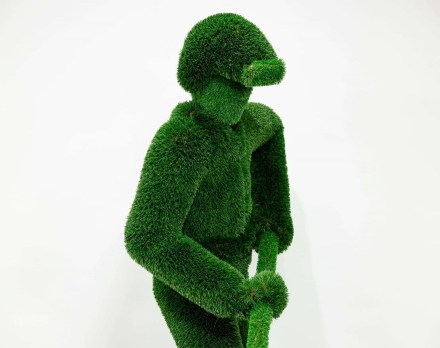 Топиари сталевар Романов - газон Deluxe, фото 4