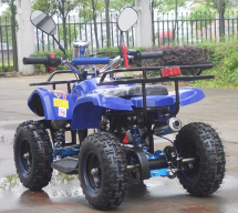 Квадроцикл RAPTOR Max Pro 49cc (2024) Квадроцикл RAPTOR Max Pro 49cc (2024)