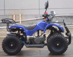 Квадроцикл RAPTOR Max Pro 49cc (2024), фото 2