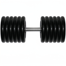 Гантель 51 кг черная неразборная Гантель 51 кг черная неразборная