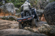 Квадроцикл KAWASAKI Brute Force 750 EPS (2024) (ПСМ)