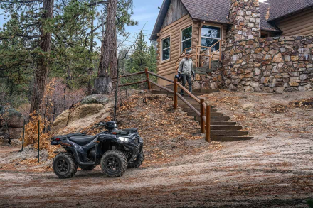 Квадроцикл KAWASAKI Brute Force 750 EPS (2024) (ПСМ), фото 11