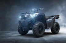 Квадроцикл KAWASAKI Brute Force 750 EPS (2024) (ПСМ)