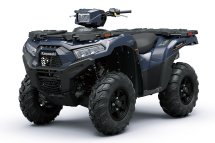 Квадроцикл KAWASAKI Brute Force 750 EPS (2024) (ПСМ)