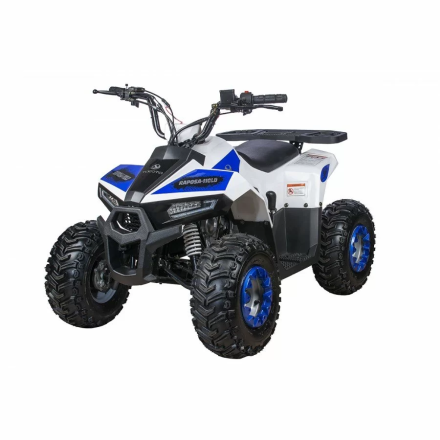 Квадроцикл детский YACOTA RAPOSA, фото 1