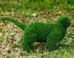Топиари кот Барсик - газон Eco, фото 3