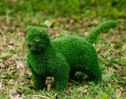 Топиари кот Барсик - газон Eco, фото 2