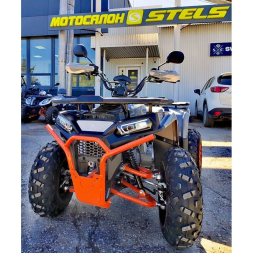 Квадроцикл Regulmoto TBM Thunder Basic 125, фото 5 Квадроцикл Regulmoto TBM Thunder Basic 125, фото 5