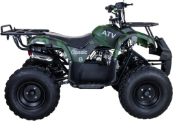 Квадроцикл RAPTOR ATV 200U Premium ALL 200cc 4Т, фото 4