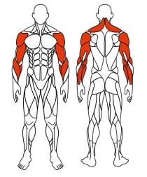 Рули (положение сидя) зеленый - Уличный тренажер - СТ 104-12, фото 6