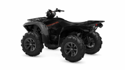 Квадроцикл YAMAHA Grizzly 700 EPS SE (ПСМ), фото 6 Квадроцикл YAMAHA Grizzly 700 EPS SE (ПСМ), фото 6