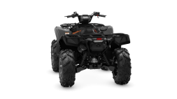 Квадроцикл YAMAHA Grizzly 700 EPS SE (ПСМ), фото 5 Квадроцикл YAMAHA Grizzly 700 EPS SE (ПСМ), фото 5