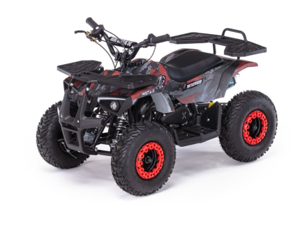 Квадроцикл MOTAX Grizlik X16 (PS), фото 1