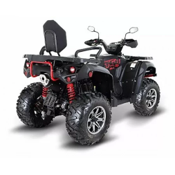 Квадроцикл TGB Blade 1000 LTX EPS, фото 3