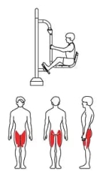 ZOV-020 Жим ногами, фото 2