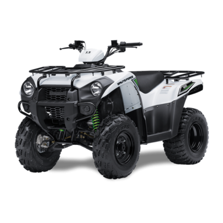 Квадроцикл Kawasaki Brute Force 300, фото 1
