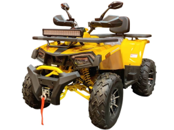 Квадроцикл MOTOLAND Wild Track X PRO 200 (баланс. вал) Квадроцикл MOTOLAND Wild Track X PRO 200 (баланс. вал)