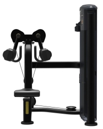 Тренажер Дельтовидные Impulse IT9524, фото 3