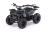 Квадроцикл MOTAX Grizlik X16 (PS, BW)