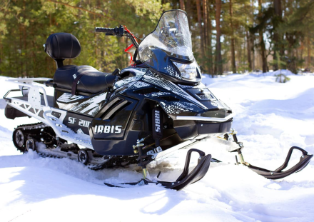 Снегоход IRBIS SF200SL Superlong, фото 6