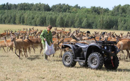 Квадроцикл BALTMOTORS Striker 700 EFI (ПСМ), фото 19