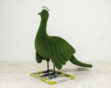 Топиари Павлин зеленый, композиция для клумбы - газон Eco, фото 1