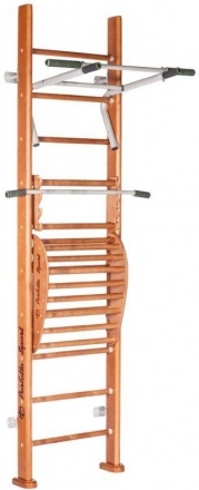 Детский спортивный комплекс (ДСК) &quot;Perfetto sport&quot; Rapido PS-102 с тренажером Vinsere, фото 1