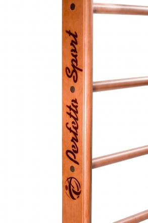 Детский спортивный комплекс (ДСК) &quot;Perfetto sport&quot; Rapido PS-102 с тренажером Vinsere, фото 2