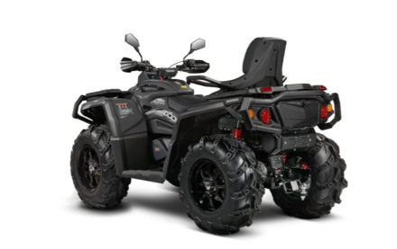 Квадроцикл AODES Pathcross MAX 1000 PRO 28X, фото 3