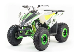 Квадроцикл MOTOLAND 125 Coyote (2021 Г.), фото 4 Квадроцикл MOTOLAND 125 Coyote (2021 Г.), фото 4