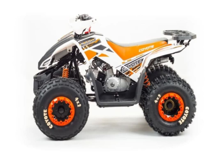 Квадроцикл MOTOLAND 125 Coyote (2021 Г.), фото 3