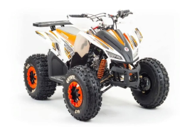 Квадроцикл MOTOLAND 125 Coyote (2021 Г.), фото 2 Квадроцикл MOTOLAND 125 Coyote (2021 Г.), фото 2