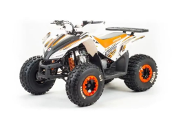 Квадроцикл MOTOLAND 125 Coyote (2021 Г.), фото 1 Квадроцикл MOTOLAND 125 Coyote (2021 Г.), фото 1