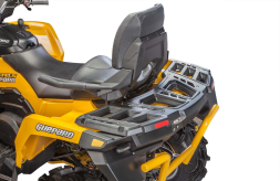 Квадроцикл СТЕЛС ATV 800G Guepard Trophy CVTech (канадский вариатор) (ПСМ), фото 6 Квадроцикл СТЕЛС ATV 800G Guepard Trophy CVTech (канадский вариатор) (ПСМ), фото 6