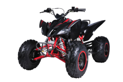 Квадроцикл MIKILON Rapide 200 EFI, фото 3