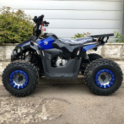 Квадроцикл YACOTA Raposa, фото 4