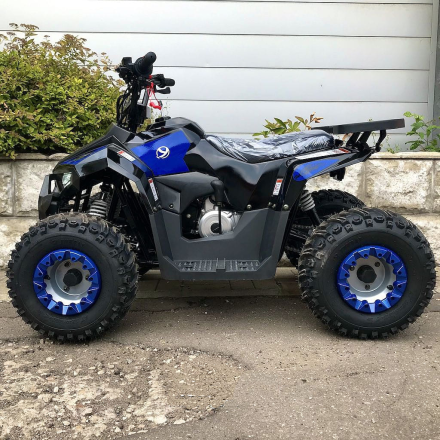 Квадроцикл YACOTA Raposa, фото 4