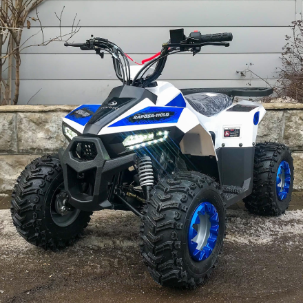 Квадроцикл YACOTA Raposa, фото 3
