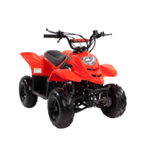 Квадроцикл IRBIS Dingo 50s Квадроцикл IRBIS Dingo 50s