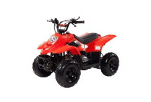 Квадроцикл IRBIS Dingo 50s Квадроцикл IRBIS Dingo 50s