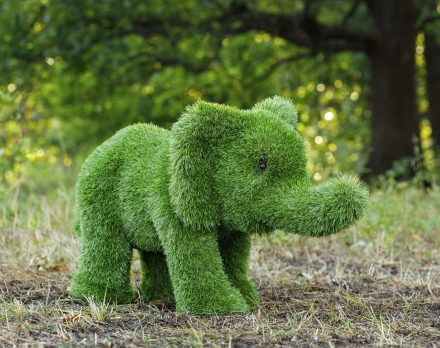 Топиари слон Кроха - газон Premium, фото 1