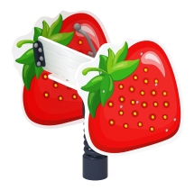 Клубника - Качалка на пружине - ИО 22.01.15-И1