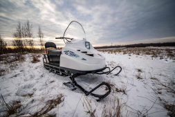 Снегоход БТС Артик-4Т ЛОНГ, фото 2 Снегоход БТС Артик-4Т ЛОНГ, фото 2