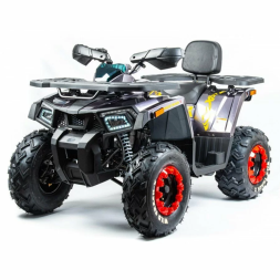 Квадроцикл подростковый MotoLand ATV 200 WILD TRAСK X