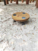 Диск-балансир Диск-балансир