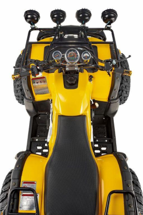 Квадроцикл RAPTOR Max Pro 250 (жёлтый/чёрный) (2024), фото 4