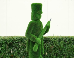 Топиари Гусар, Прицеливается - газон Deluxe, фото 8